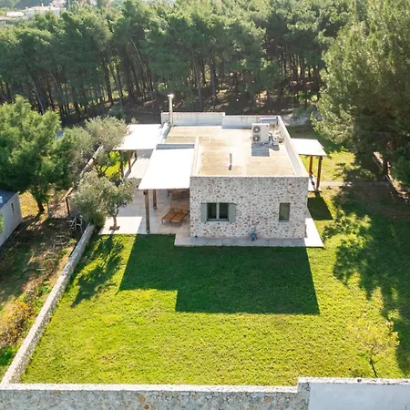 The Forest * Kos-stad