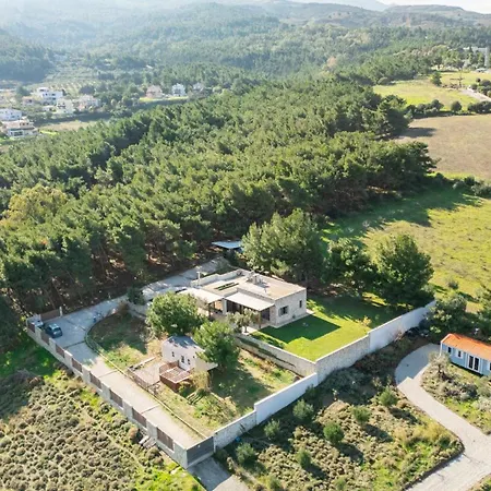 The Forest * Kos-stad