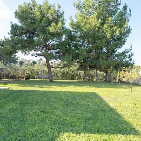 The Forest Città di Kos