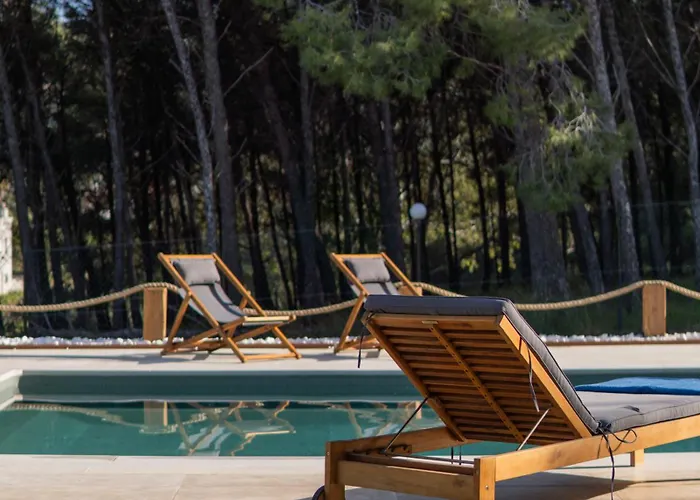 The Forest * 科斯镇